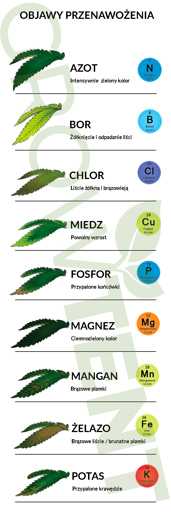 objawy przenawożenia roślin - infografika