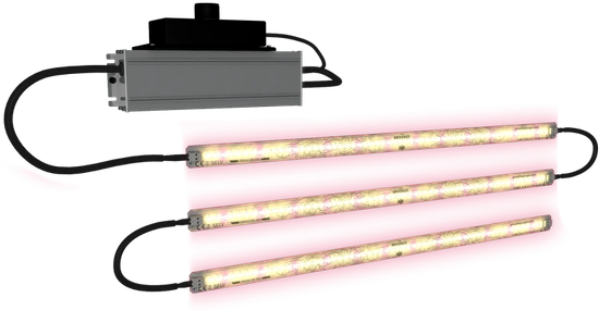  Grow The Jungle The Brookes 3x 35W (105W) Linear Lampa listwa LED Grow (lampa powystawowa) 