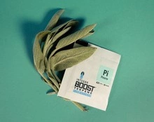 Integra Boost Terpene Essentials Pinene 4G 62% regulator wilgoci