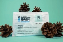 Integra Boost Terpene Essentials Pinene 67G 62% regulator wilgoci