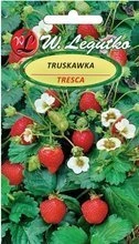 Truskawka/Tresca/0,03g
