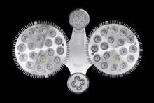 Zestaw oświetleniowy 4 żarówki do roślin + splitter | wzrost - booster