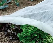 Agrotkanina agrowłóknina wiosenna do ochrony roślin 1.6x5M biała