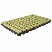 Taca do wysiewu nasion wełna mineralna 77 szt 35x35x40mm Grodan