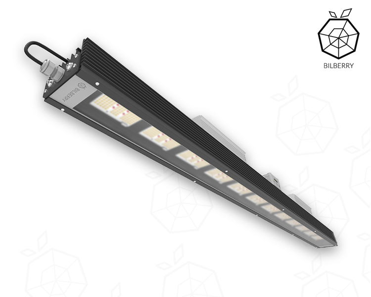 Bilberry GROW LED 600W wielofunkcyjna lampa FULL SPEKTRUM / DIMMER